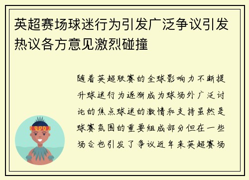 英超赛场球迷行为引发广泛争议引发热议各方意见激烈碰撞