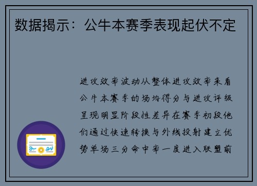 数据揭示：公牛本赛季表现起伏不定
